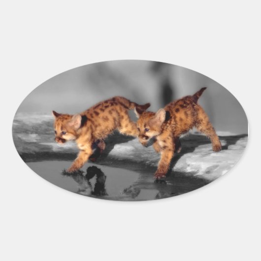 ベビーヒョウ 楕円形シール (正面)