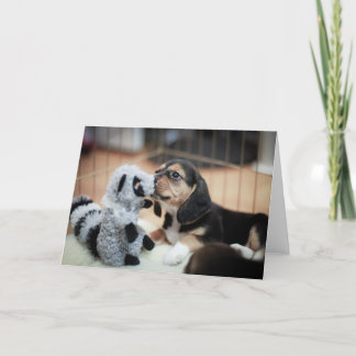 ベビービーグルとその新しい玩具 カード