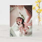 ベビービーグルバータイム カード (黄色い花)