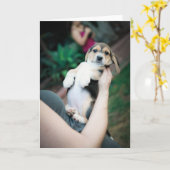 ベビービーグルベリー カード (黄色い花)