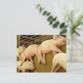 ベビーピッグ – はがき (スタンド正面)