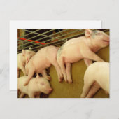 ベビーピッグ – はがき (正面/裏面)