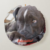 ベビーピットブル子犬 ラウンドクッション (裏面)