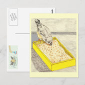 ベビーフィンチ学は種に食べ過ぎ ポストカード (正面/裏面)
