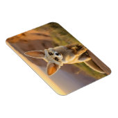 ベビーフェンネクフォックスオンクリフ マグネット (右側)