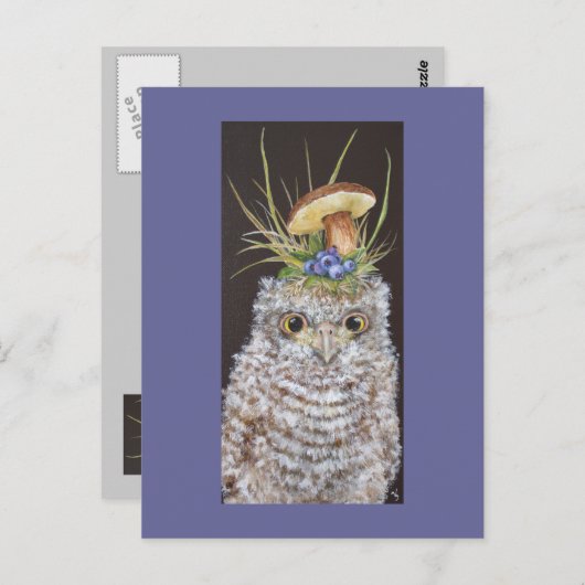 ベビーフクロウとブルーベリーとキノコ帽子 ポストカード (正面/裏面)