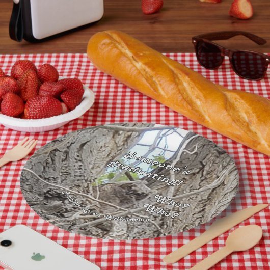 ベビーフクロウの卒業生 ペーパープレート (ピクニック)