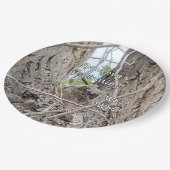 ベビーフクロウの卒業生 ペーパープレート (アングル)