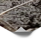 ベビーフクロウの木の写真ファミリーツリーポスター ポスター (角)