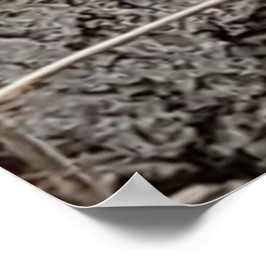 ベビーフクロウの木の写真ファミリーツリーポスター ポスター (角)