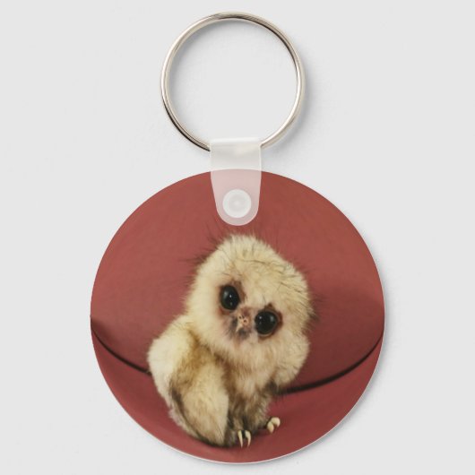 ベビーフクロウキーチェーン キーホルダー (正面)