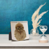 ベビーフクロウ睡眠斑イーゼル フォトプラーク (インサイチュ)