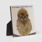 ベビーフクロウ睡眠斑イーゼル フォトプラーク (正面)