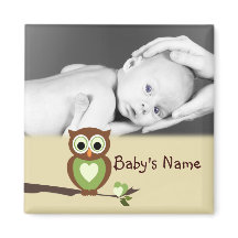 ベビーフクロウ/写真