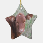 ベビーブラウンコー顔 セラミックオーナメント (左)