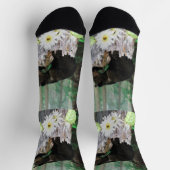 ベビーブラウンベア、クルーソックス ソックス (上部)