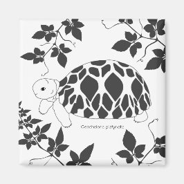 ベビーブルメススター葉トルトマグネット(bw) マグネット