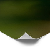 ベビーブルーアイワイルドフラワーポスター ポスター (角)