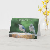 ベビーブルージェイ カード (黄色い花)