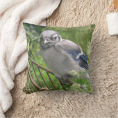 ベビーブルージェイ クッション (ブランケット)