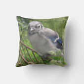 ベビーブルージェイ クッション (裏面)