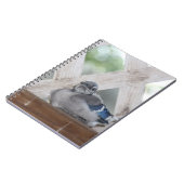 ベビーブルージェイ ノートブック (左側)