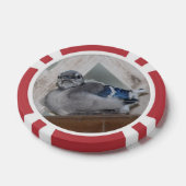 ベビーブルージェイ ポーカーチップ (シングル)