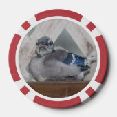 ベビーブルージェイ ポーカーチップ (裏面)