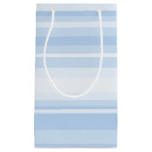 ベビーブルーストライプ スモールペーパーバッグ (正面)