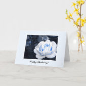 ベビーブルーバラ カード (黄色い花)