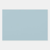 ベビーブルー素朴ロマンチック&エレガント ラッピングペーパーシート (正面2)