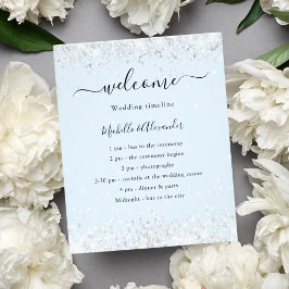 ベビーブルー結婚シルバー予算案 チラシ