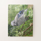 「ベビーブルー・ジェイI」 ジグソーパズル (縦)