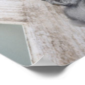 ベビーブルーJayポスター ポスター (角)