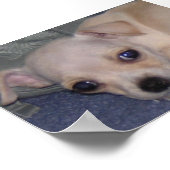 ベビープリント。 ポスター (角)