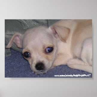 ベビープリント。 ポスター