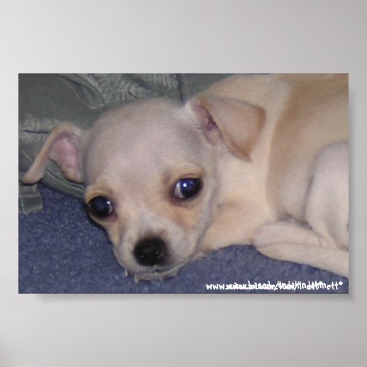 ベビープリント。 ポスター (正面)