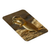 ベビープレーリ食べ物ドッグズ,アリゾナ マグネット (右側)