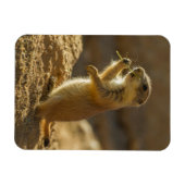 ベビープレーリ食べ物ドッグズ,アリゾナ マグネット (横)