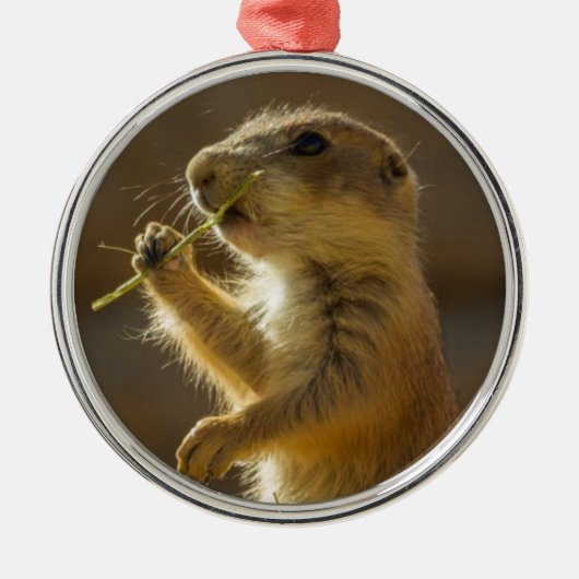 ベビープレーリ食べ物ドッグズ，アリゾナ メタルオーナメント (正面)