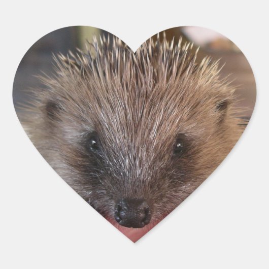 ベビーヘッジホッグステッカー ハートシール (正面)