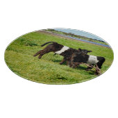 ベビーベルテッドガロウェイカーブ、カッティングボード カッティングボード (角)