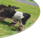 ベビーベルテッドガロウェイカーブ、カッティングボード カッティングボード (角)