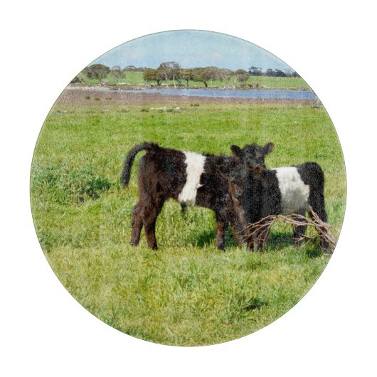 ベビーベルテッドガロウェイカーブ、カッティングボード カッティングボード (正面)