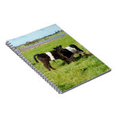 ベビーベルテッドガロウェイカーブ,ノートブック ノートブック (右側)