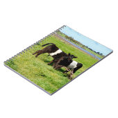 ベビーベルテッドガロウェイカーブ,ノートブック ノートブック (左側)