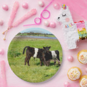 ベビーベルテッドガロウェイカーヴ、紙プレート ペーパープレート (パーティー)