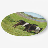 ベビーベルテッドガロウェイカーヴ、紙プレート ペーパープレート (アングル)