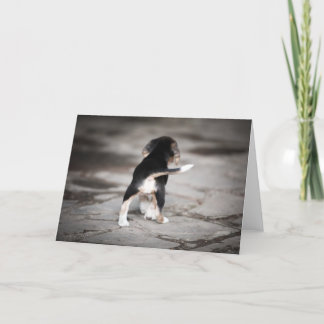 ベビーベーグルボトム カード