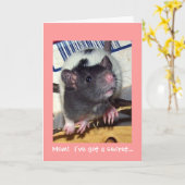 ベビーペットラットの母の日カード カード (黄色い花)